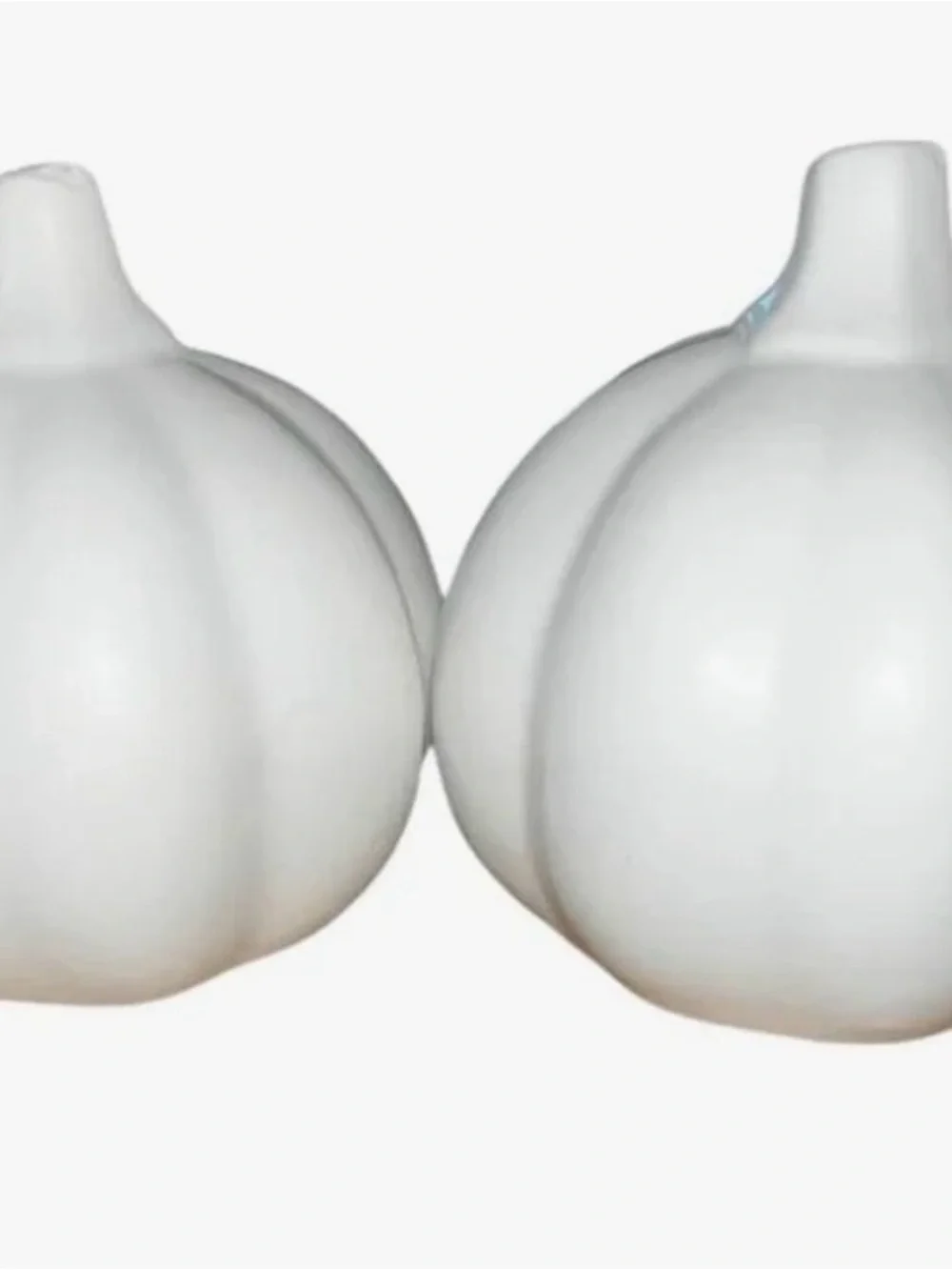 Farmhouse Pumpkin Salt Pepper Shaker Set Thanksgiving Decor